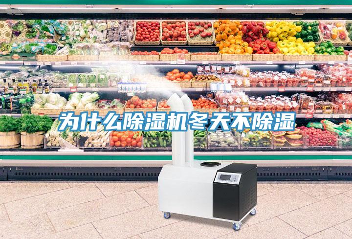 为什么91免费网站在线观看冬天不除湿