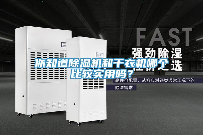 你知道91免费网站在线观看和干衣机哪个比较实用吗？