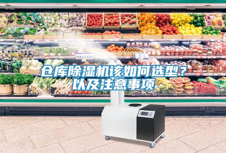 仓库91免费网站在线观看该如何选型？以及注意事项