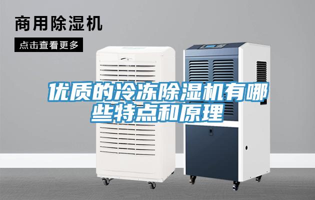 优质的冷冻91免费网站在线观看有哪些特点和原理