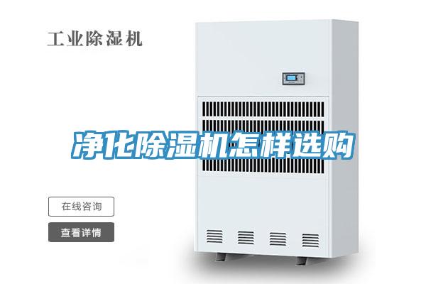 净化91免费网站在线观看怎样选购
