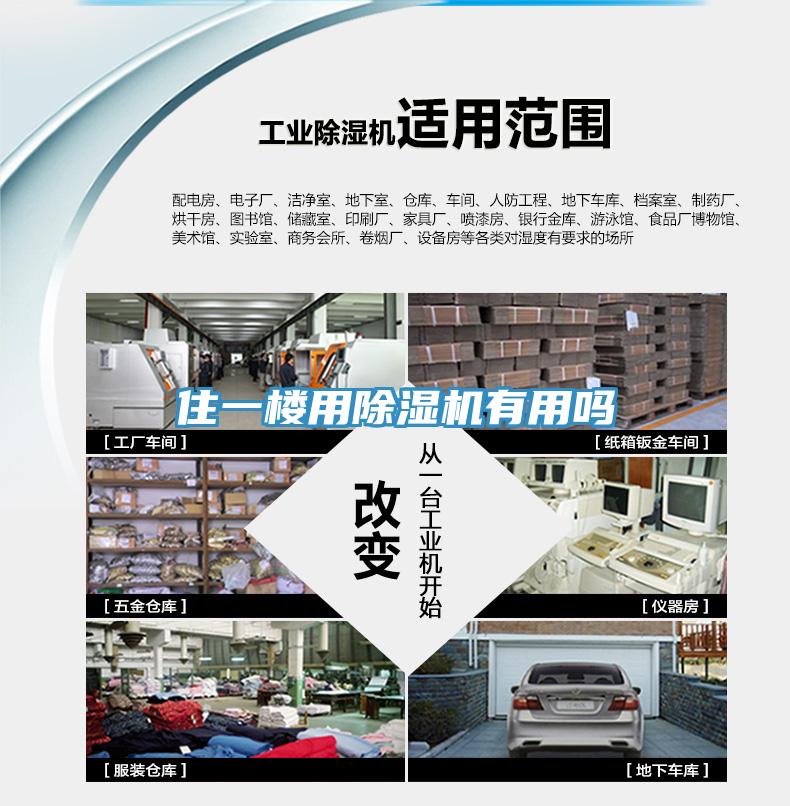 住一楼用91免费网站在线观看有用吗