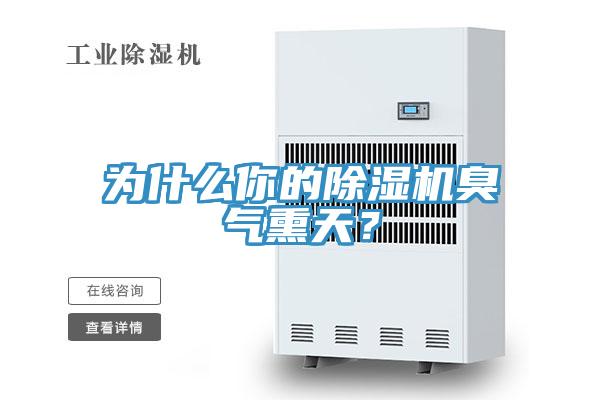 为什么你的91免费网站在线观看臭气熏天？