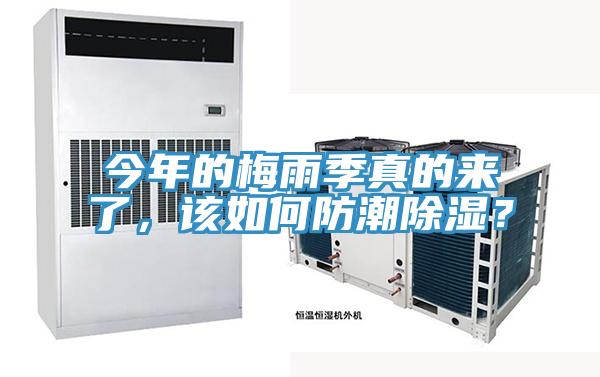 今年的梅雨季真的来了，该如何防潮除湿？