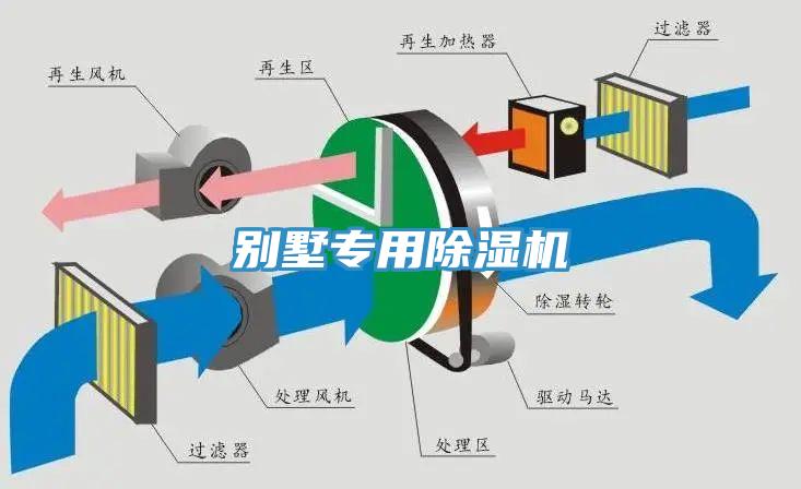 别墅专用91免费网站在线观看
