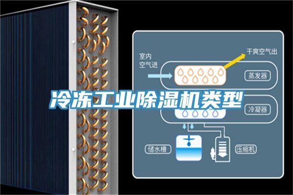 冷冻工业91免费网站在线观看类型