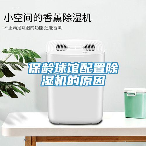 保龄球馆配置91免费网站在线观看的原因