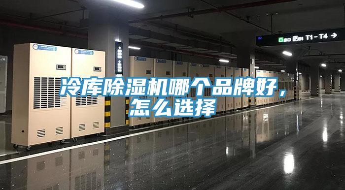 冷库91免费网站在线观看哪个品牌好，怎么选择