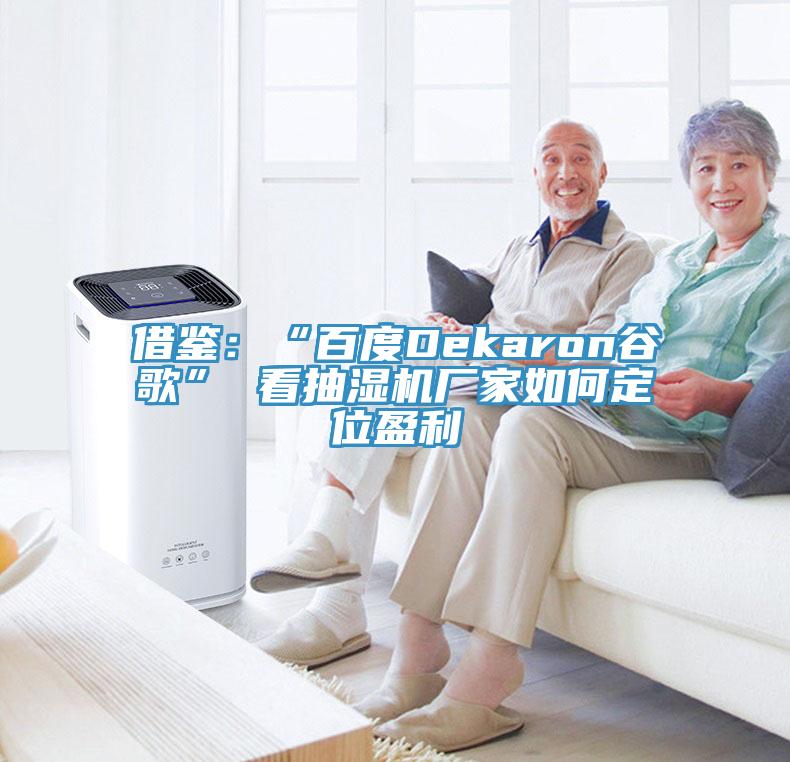 借鉴：“百度Dekaron谷歌” 看抽湿机厂家如何定位盈利