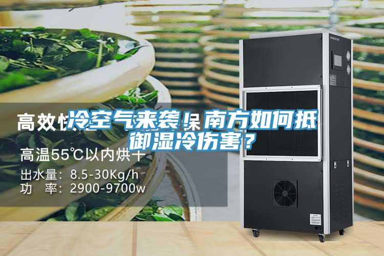 冷空气来袭！南方如何抵御湿冷伤害？