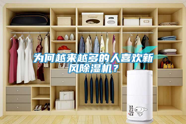 为何越来越多的人喜欢新风91免费网站在线观看？