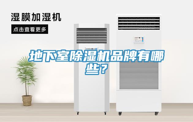 地下室91免费网站在线观看品牌有哪些？