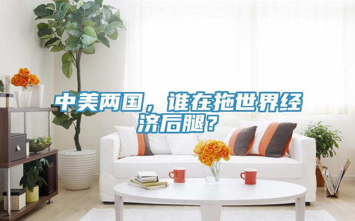中美两国，谁在拖世界经济后腿？