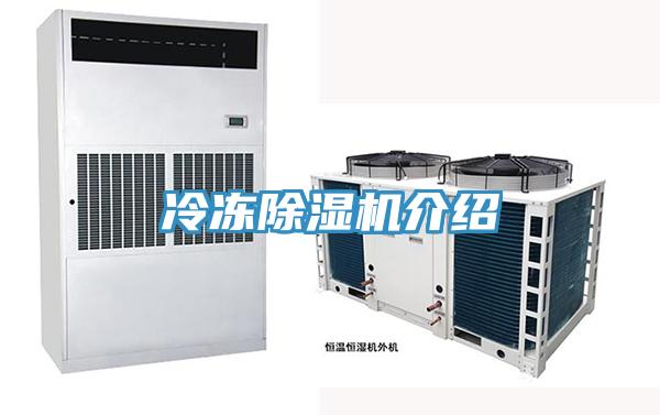 冷冻91免费网站在线观看介绍