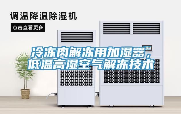 冷冻肉解冻用加湿器，低温高湿空气解冻技术