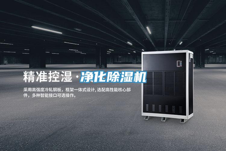 净化91免费网站在线观看