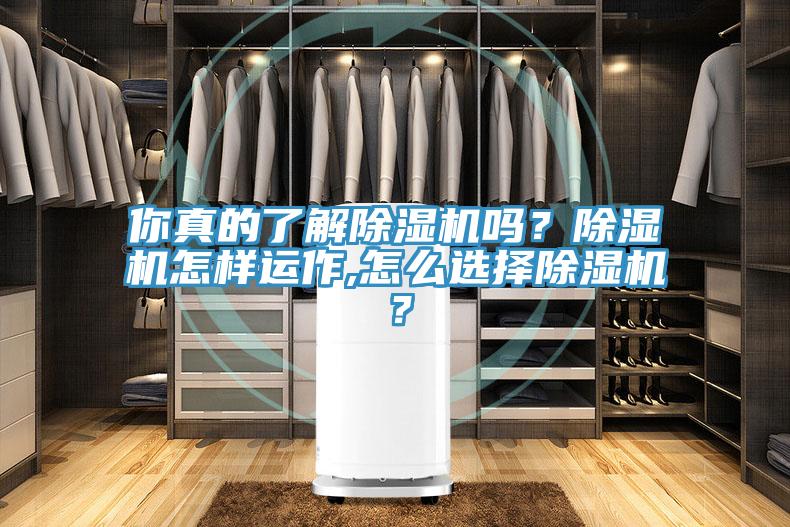 你真的了解91免费网站在线观看吗？91免费网站在线观看怎样运作,怎么选择91免费网站在线观看？