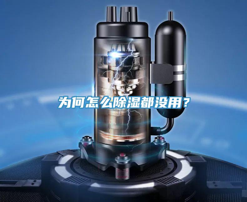 为何怎么除湿都没用？