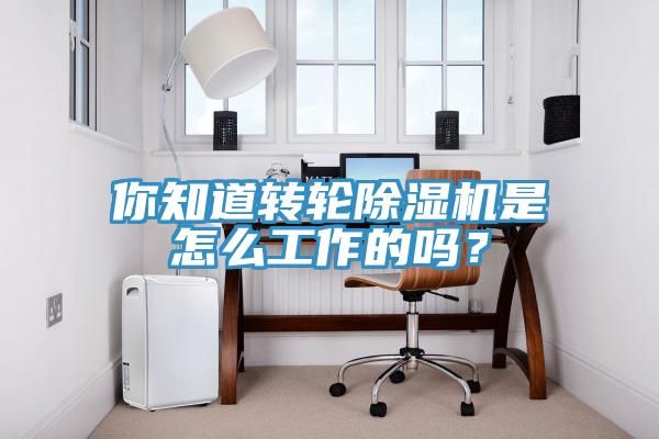 你知道转轮91免费网站在线观看是怎么工作的吗？