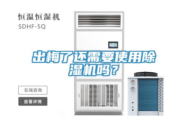 出梅了还需要使用91免费网站在线观看吗？
