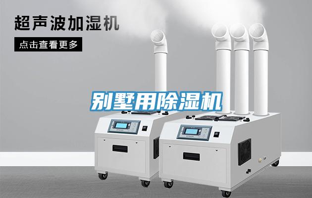 别墅用91免费网站在线观看