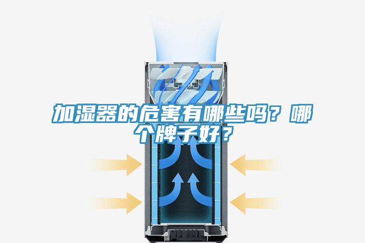加湿器的危害有哪些吗？哪个牌子好？