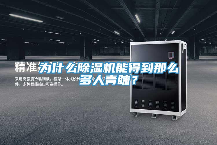 为什么91免费网站在线观看能得到那么多人青睐？