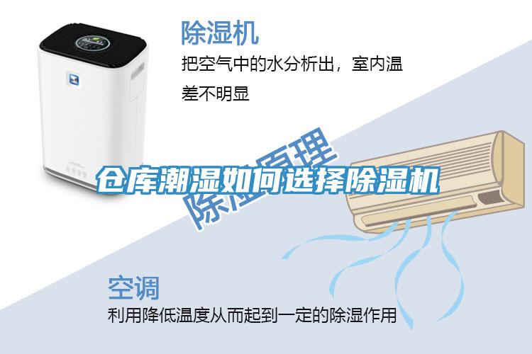 仓库潮湿如何选择91免费网站在线观看