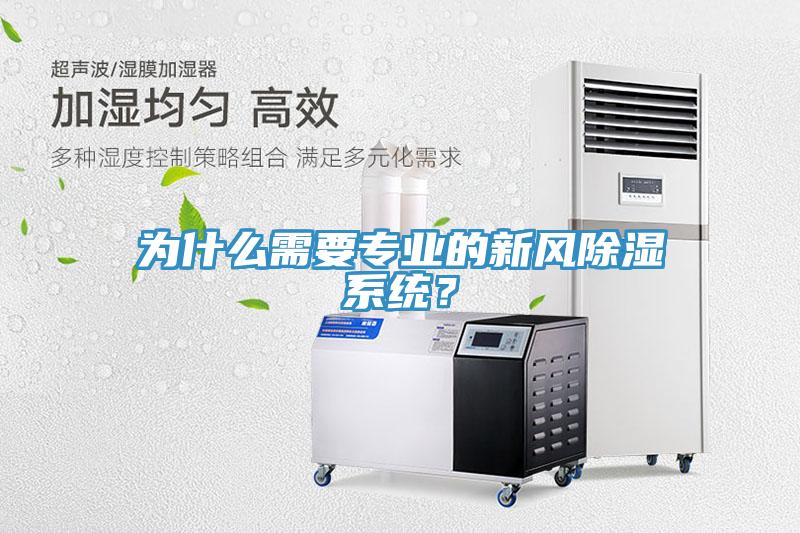 为什么需要专业的新风除湿系统？