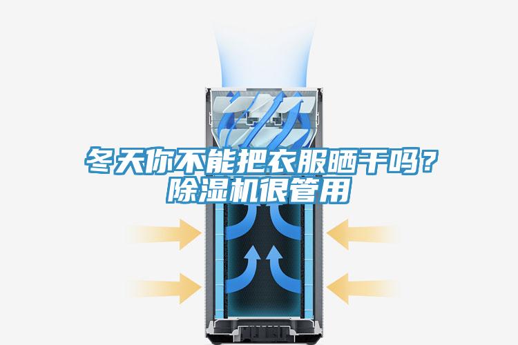 冬天你不能把衣服晒干吗？91免费网站在线观看很管用