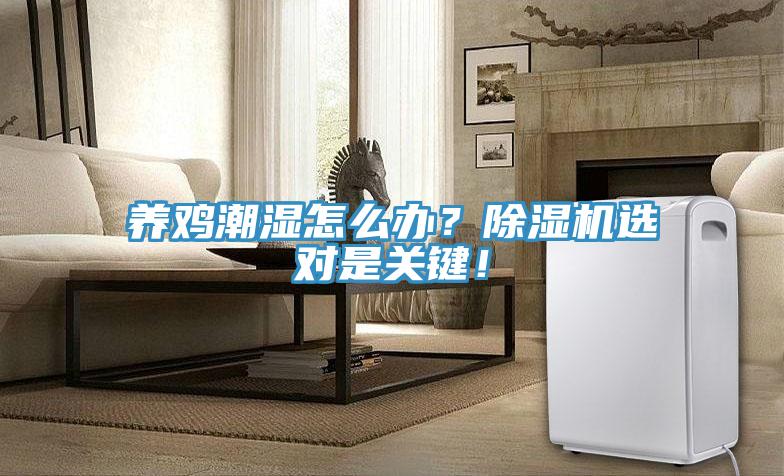 养鸡潮湿怎么办？91免费网站在线观看选对是关键！