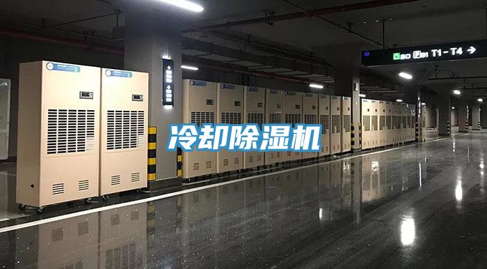 冷却91免费网站在线观看
