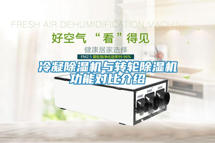 冷凝91免费网站在线观看与转轮91免费网站在线观看功能对比介绍