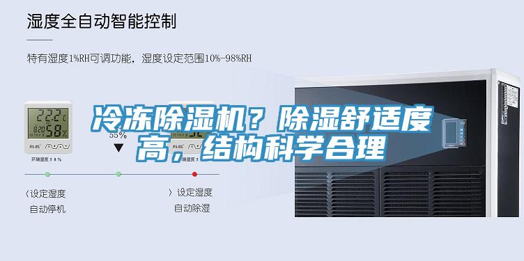 冷冻91免费网站在线观看？除湿舒适度高，结构科学合理