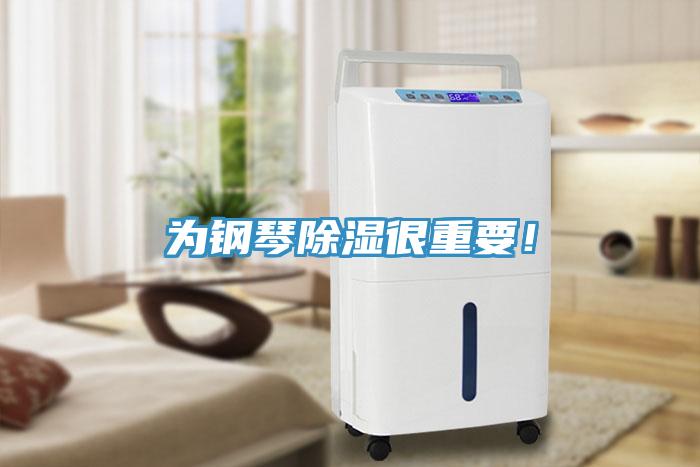 为钢琴除湿很重要！