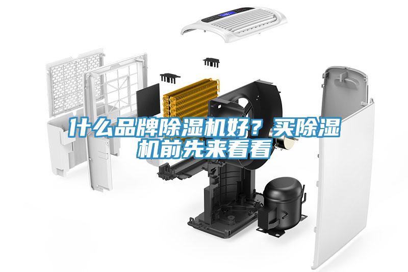 什么品牌91免费网站在线观看好？买91免费网站在线观看前先来看看