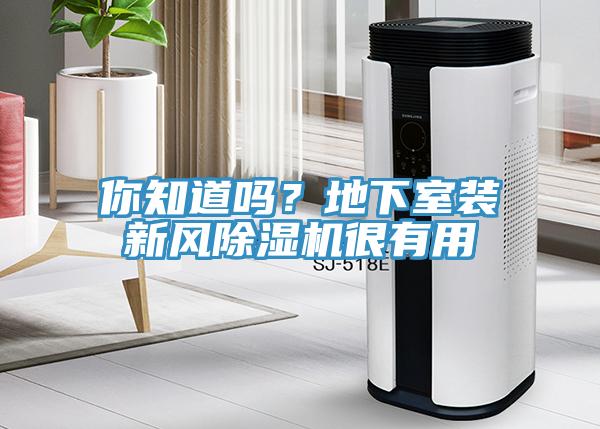 你知道吗？地下室装新风91免费网站在线观看很有用