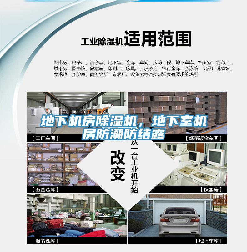 地下机房91免费网站在线观看，地下室机房防潮防结露