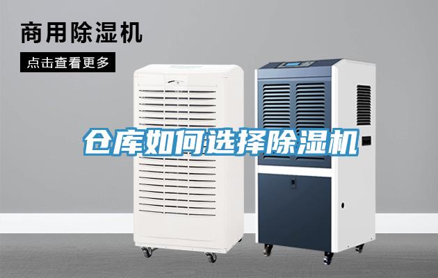 仓库如何选择91免费网站在线观看