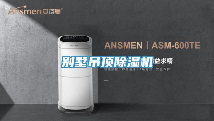 别墅吊顶91免费网站在线观看