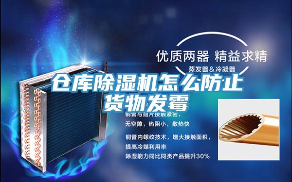 仓库91免费网站在线观看怎么防止货物发霉