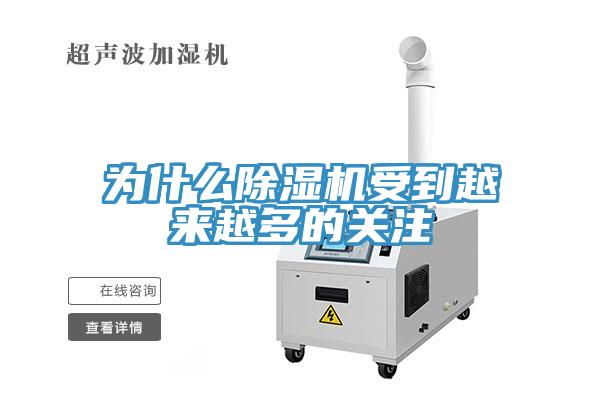 为什么91免费网站在线观看受到越来越多的关注