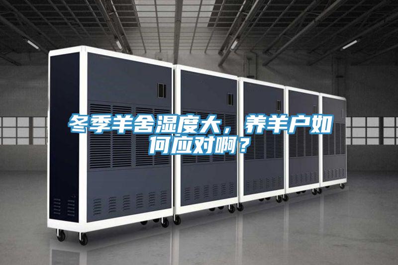冬季羊舍湿度大，养羊户如何应对啊？