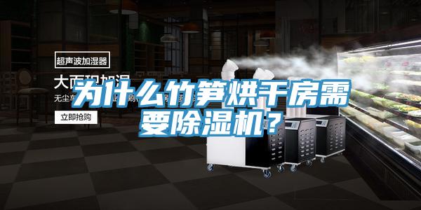 为什么竹笋烘干房需要91免费网站在线观看？