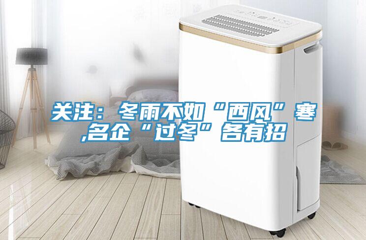 关注：冬雨不如“西风”寒,名企“过冬”各有招