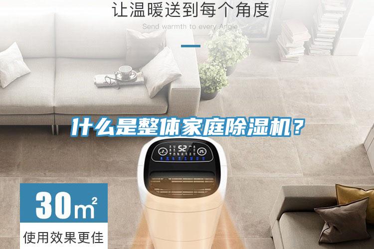 什么是整体家庭91免费网站在线观看？