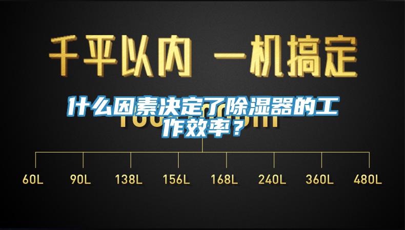 什么因素决定了除湿器的工作效率？