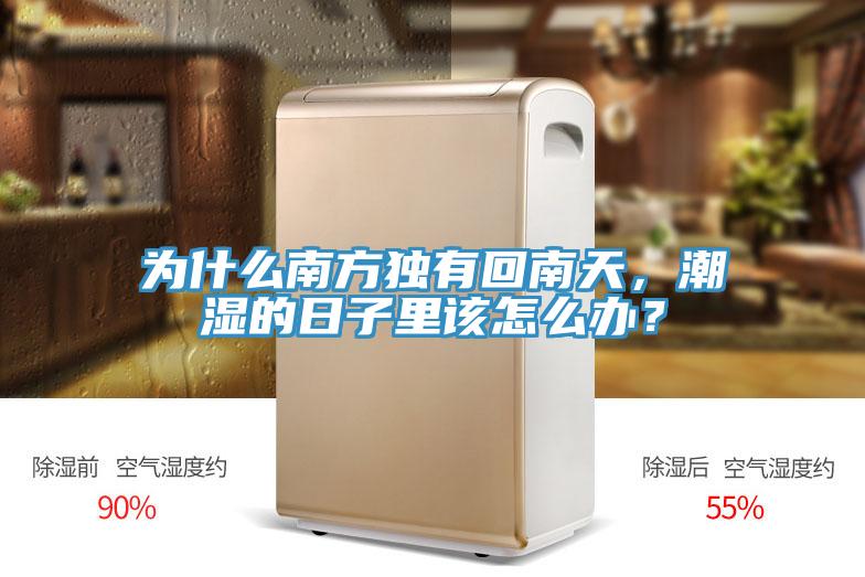 为什么南方独有回南天，潮湿的日子里该怎么办？