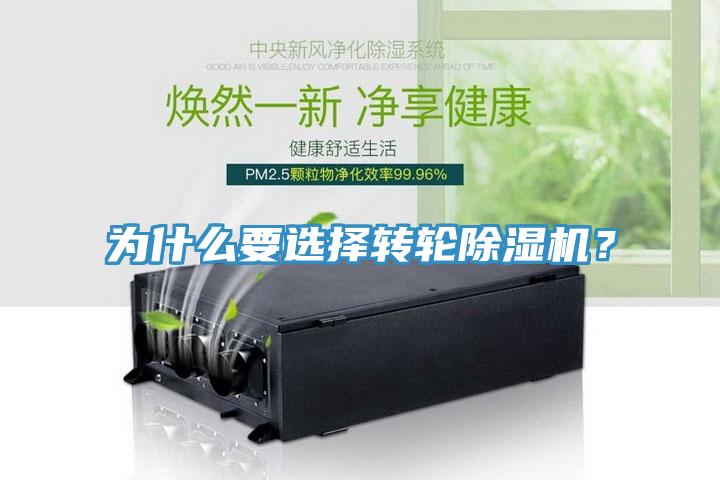 为什么要选择转轮91免费网站在线观看？