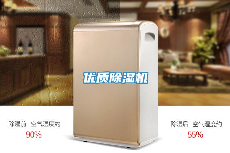优质91免费网站在线观看
